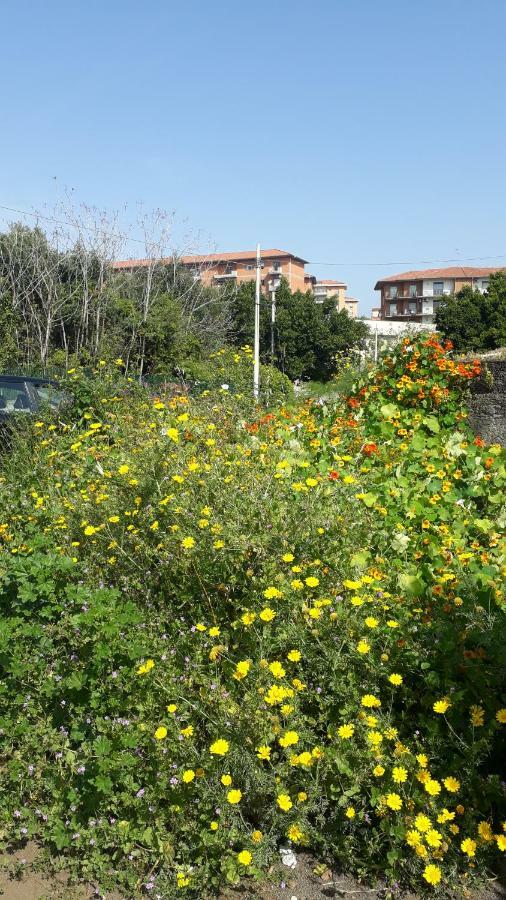 Carrubo - Giardino In Citta Villa Catania Bagian luar foto