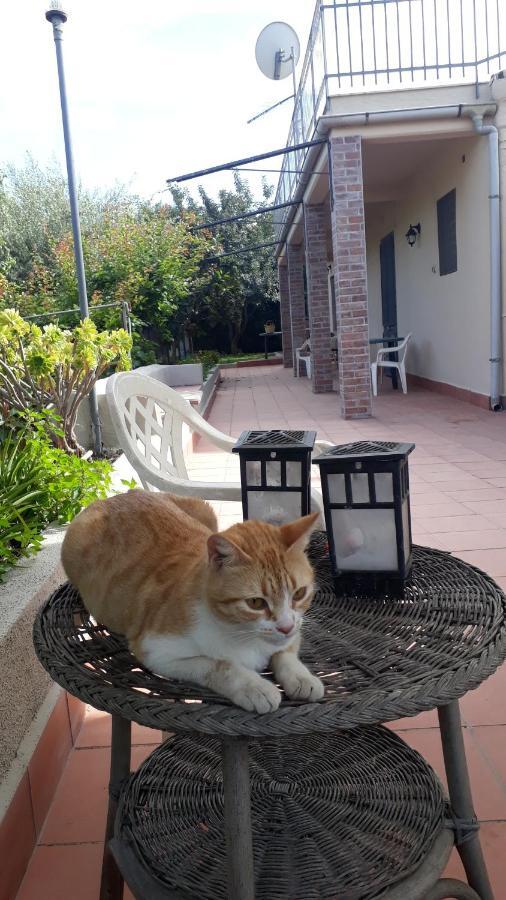 Carrubo - Giardino In Citta Villa Catania Bagian luar foto
